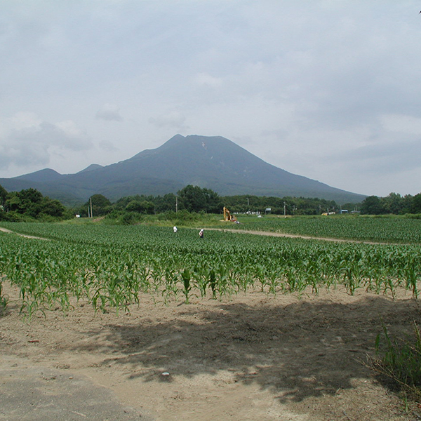 RINPRO（りんぷろ）　【※２０箱再販です！※】とうもろこし／嶽きみ（柴田農園）『青森県産』